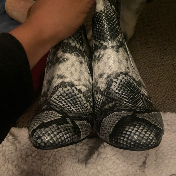 Steve Madden editor bootie size 7 - Picture 13 of 15